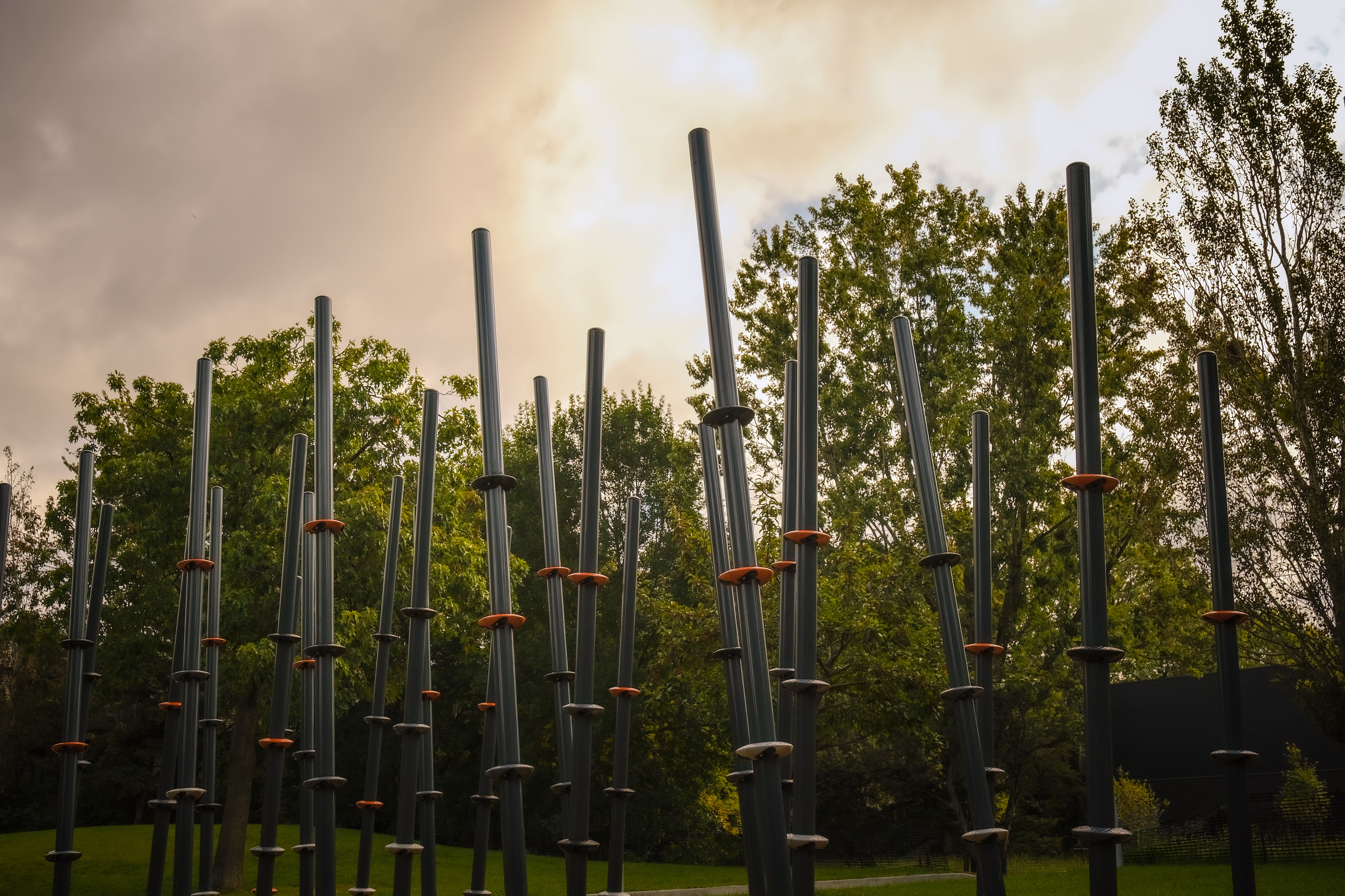 Trekfit Bamboo Jungle