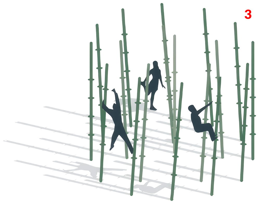 Bamboo Jungle Circular 3