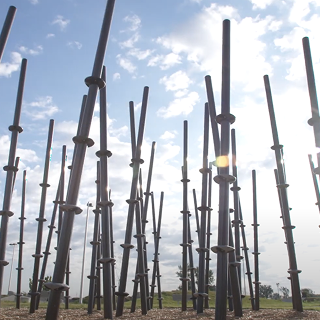 Bamboo Jungle Video